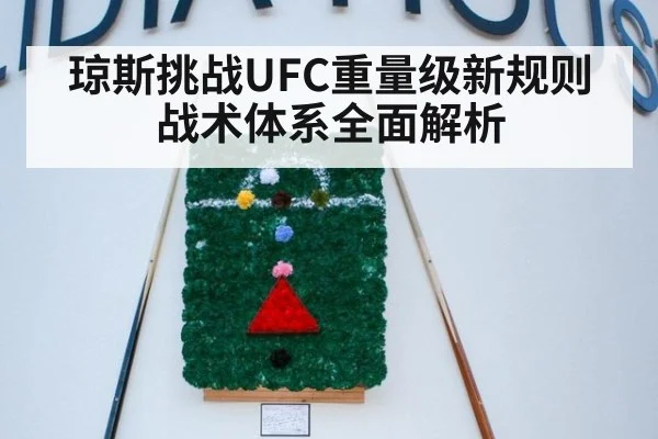 琼斯挑战UFC重量级新规则 战术体系全面解析